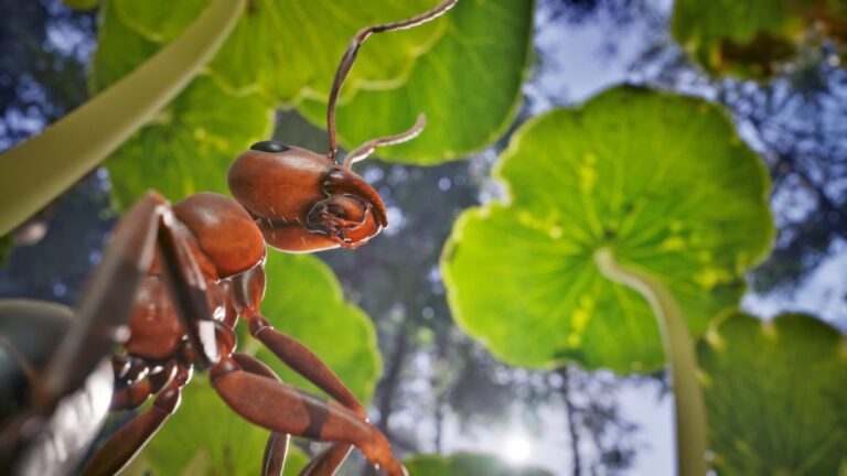 Empire of the Ants Physical Editions Confirmed for PS5, Xbox Series X/S; New Gameplay Revealed
